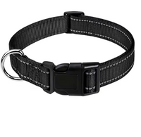 Reflective Dog Collar – Safe, Comfortable & Adjustable | Black