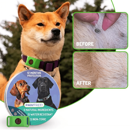 PawFree® Natural Tick & Flea Protection Tag – 12-Month Protection