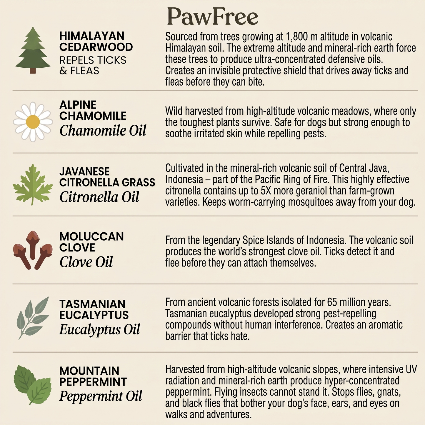 PawFree® Natural Tick & Flea Protection Tag – 12-Month Protection
