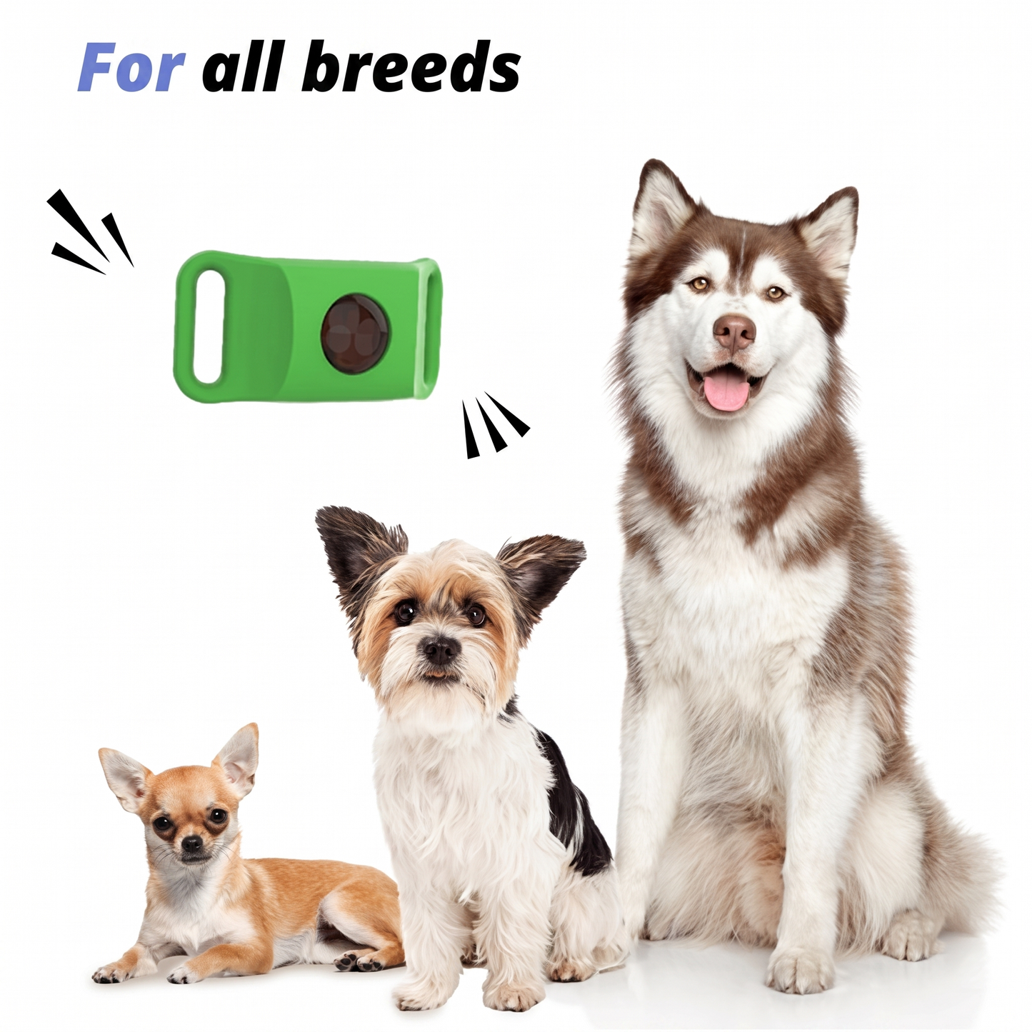 PawFree® Natural Tick & Flea Protection Tag – 12-Month Protection