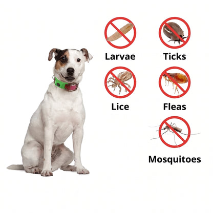 PawFree® Natural Tick & Flea Protection Tag – 12-Month Protection